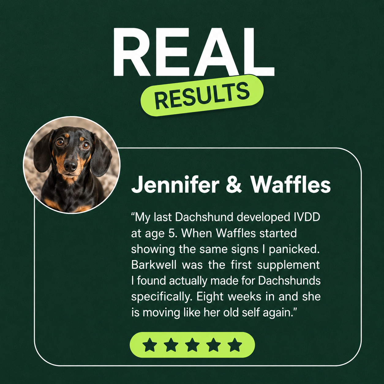 Pet Joint Chewable Tablets