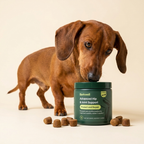Pet Joint Chewable Tablets